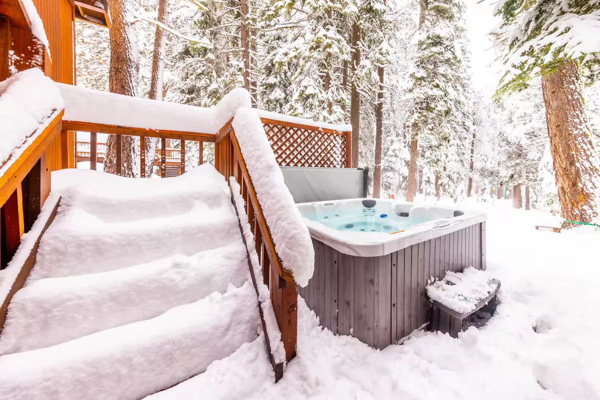 Evergreen Oasis Winter
