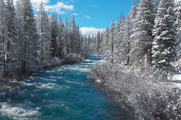 Truckee River Winter