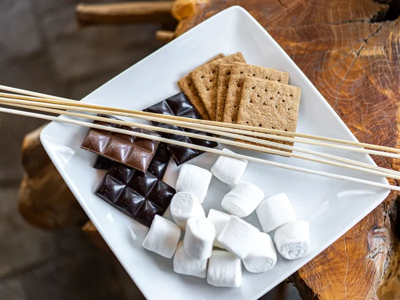 Family Fun at Stellar's Nest
