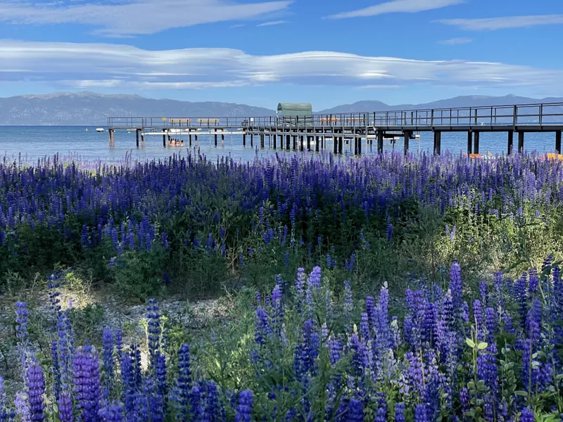 Lake Tahoe