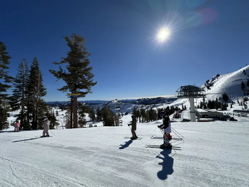 Bluebird Days on the Mountain