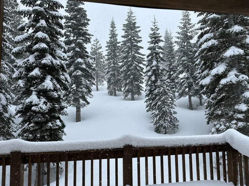View from back deck in 2nd story primary: Mountain View Lodge