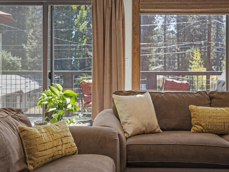 Large Windows- Kings Bear Cabin