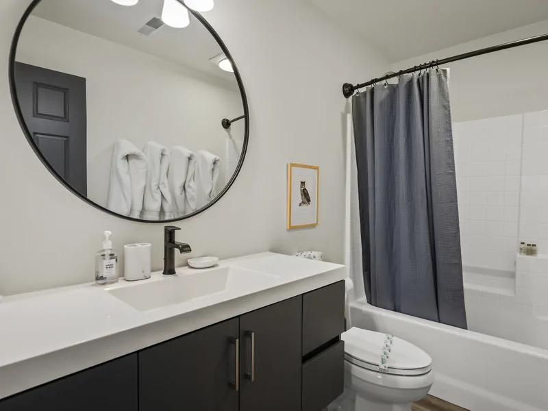 Main Bathroom , Full Bath, Shower-Tub at Exquisite Alpine Chalet